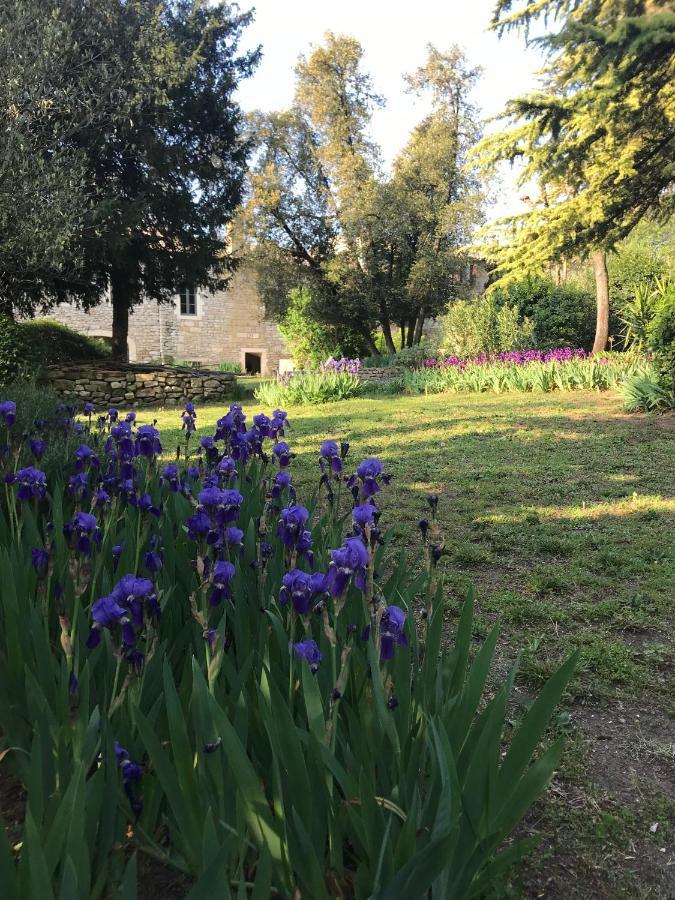 Les Toiles Du 15 Bed & Breakfast Montaren-et-Saint-Mediers Bagian luar foto